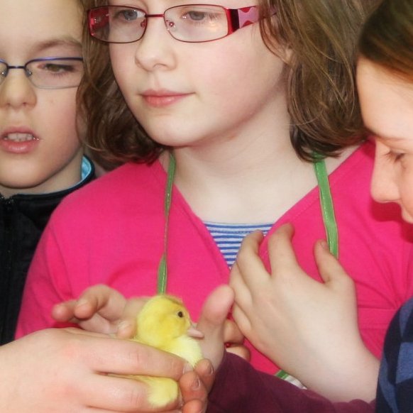 Initiation au jardinage pour les enfants de l’IME