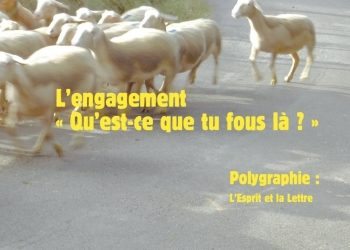 Le Sociographe – L’engagement : « Qu’est-ce que tu fous là ? »