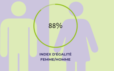 INDEX 2020 DE L’ÉGALITÉ FEMME/HOMME