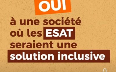 Les ESAT, le droit au travail pour tous – GEPSo