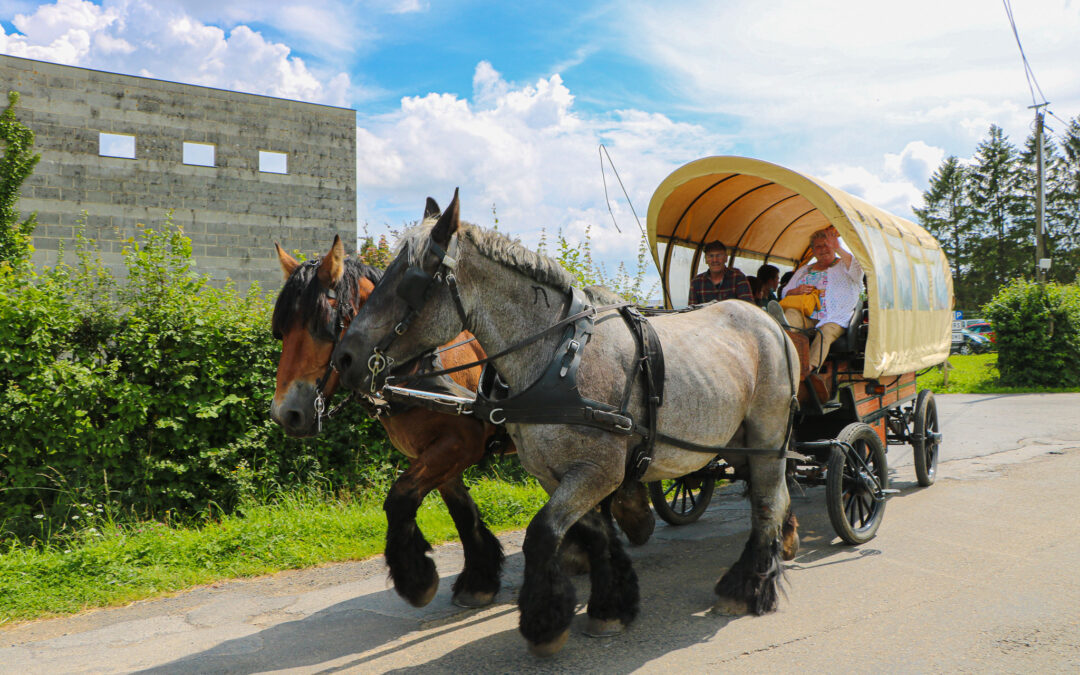 balades au rythme des chevaux